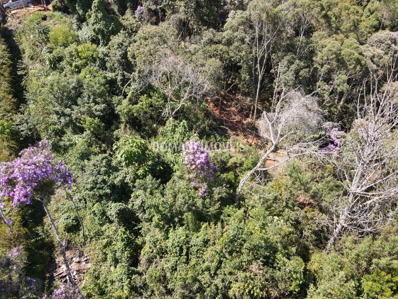 Plot of 1,080 m² in Campos do Jordão, SP, Brazil