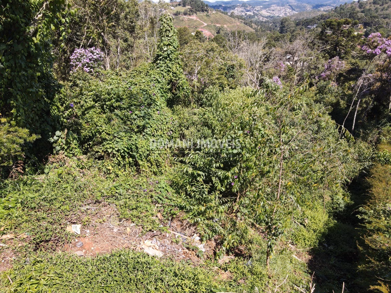 Plot of 1,080 m² in Campos do Jordão, SP, Brazil