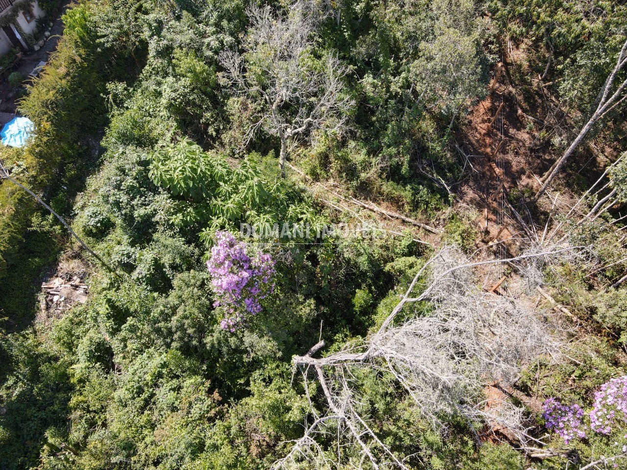 Plot of 1,080 m² in Campos do Jordão, SP, Brazil