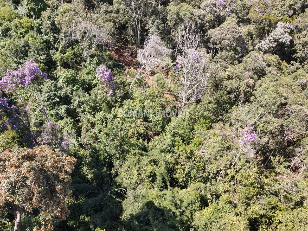 Plot of 1,080 m² in Campos do Jordão, SP, Brazil