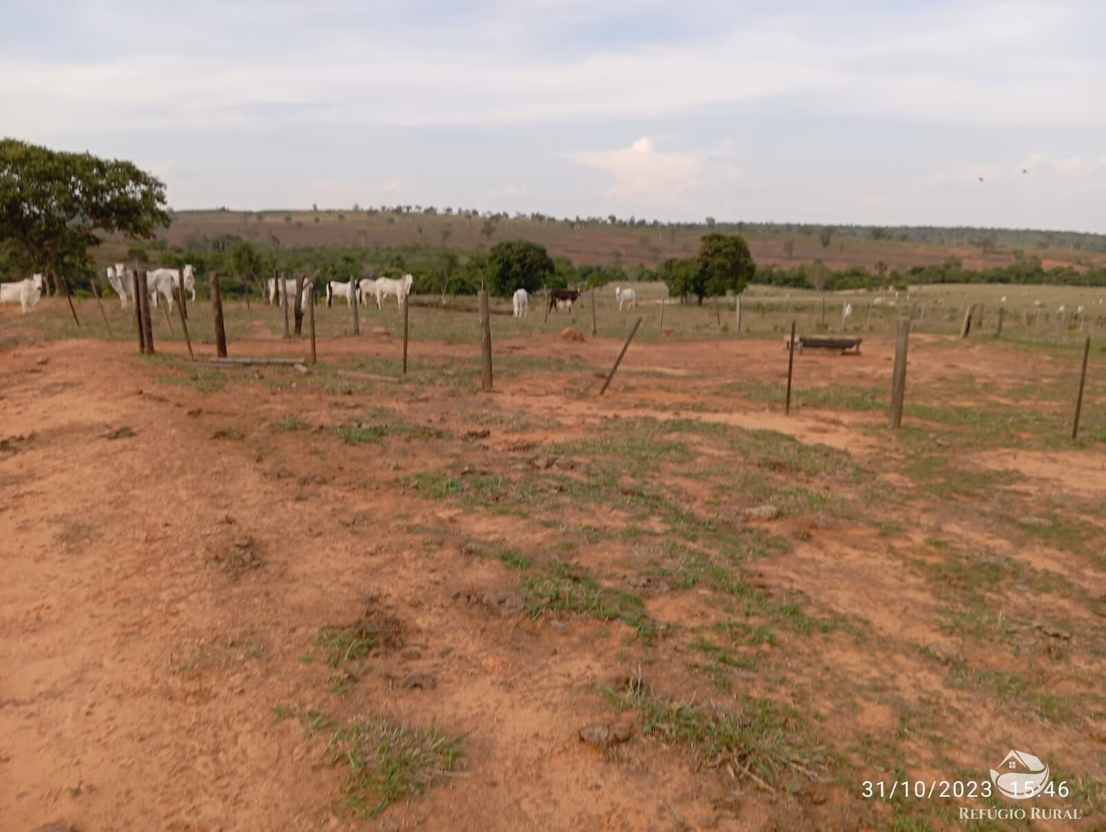 Fazenda de 300 ha em Tesouro, MT