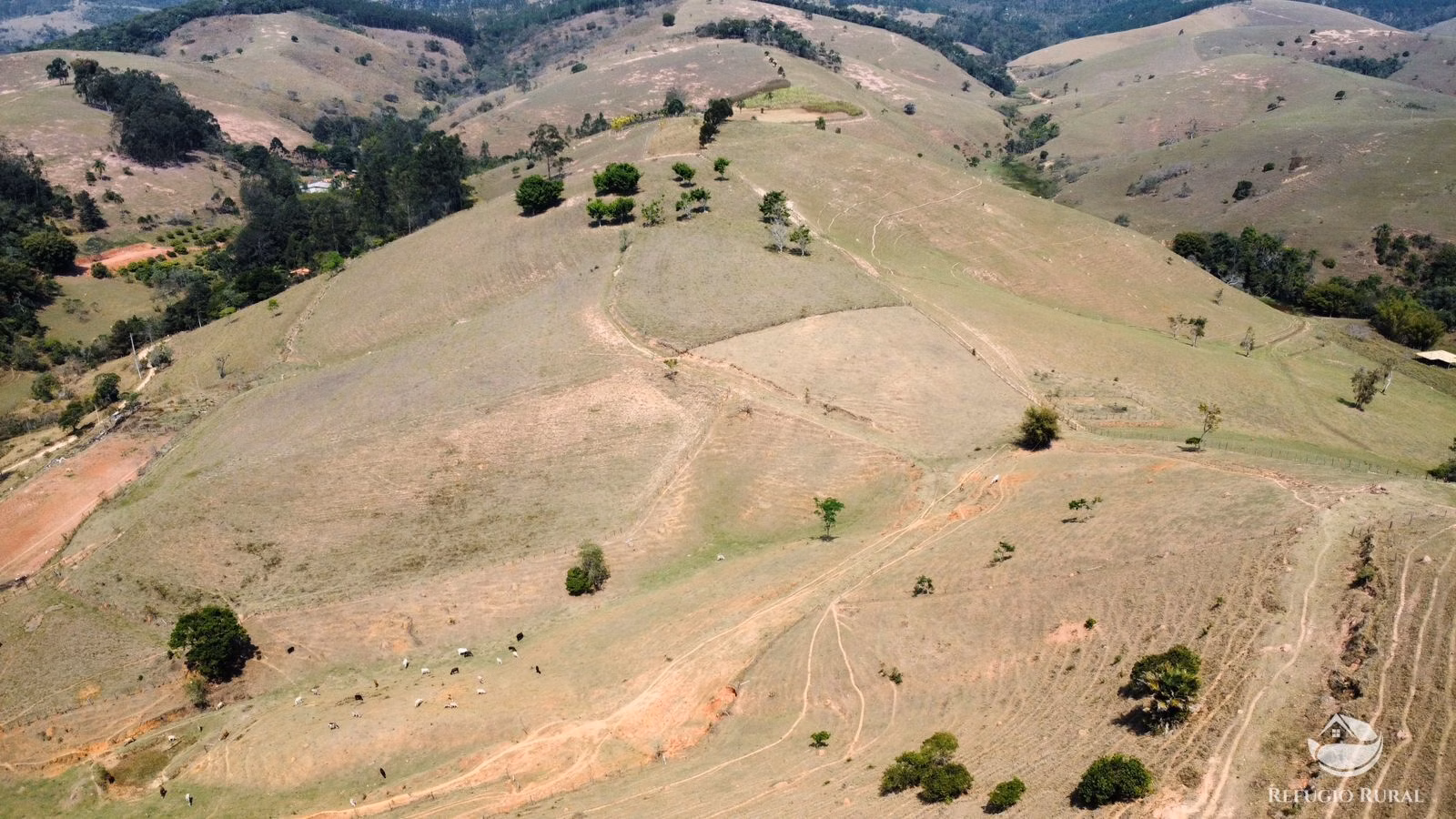 Sítio de 36 ha em Santa Branca, SP