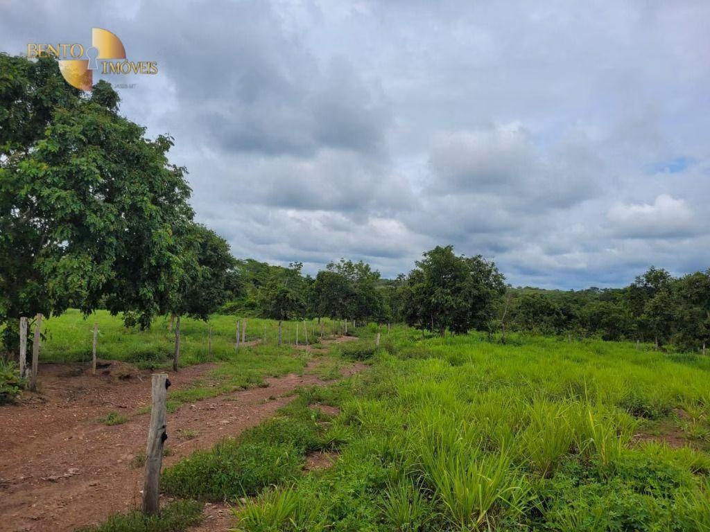 Fazenda de 840 ha em Chapada dos Guimarães, MT