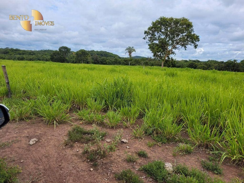 Fazenda de 840 ha em Chapada dos Guimarães, MT