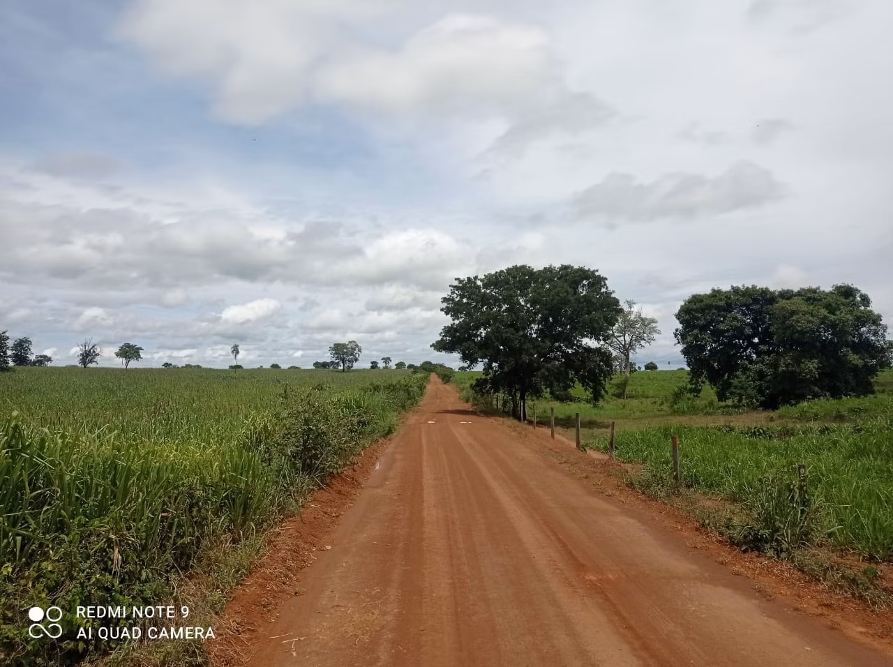 Fazenda à venda de 11.616 ha em Flores de Goiás, GO