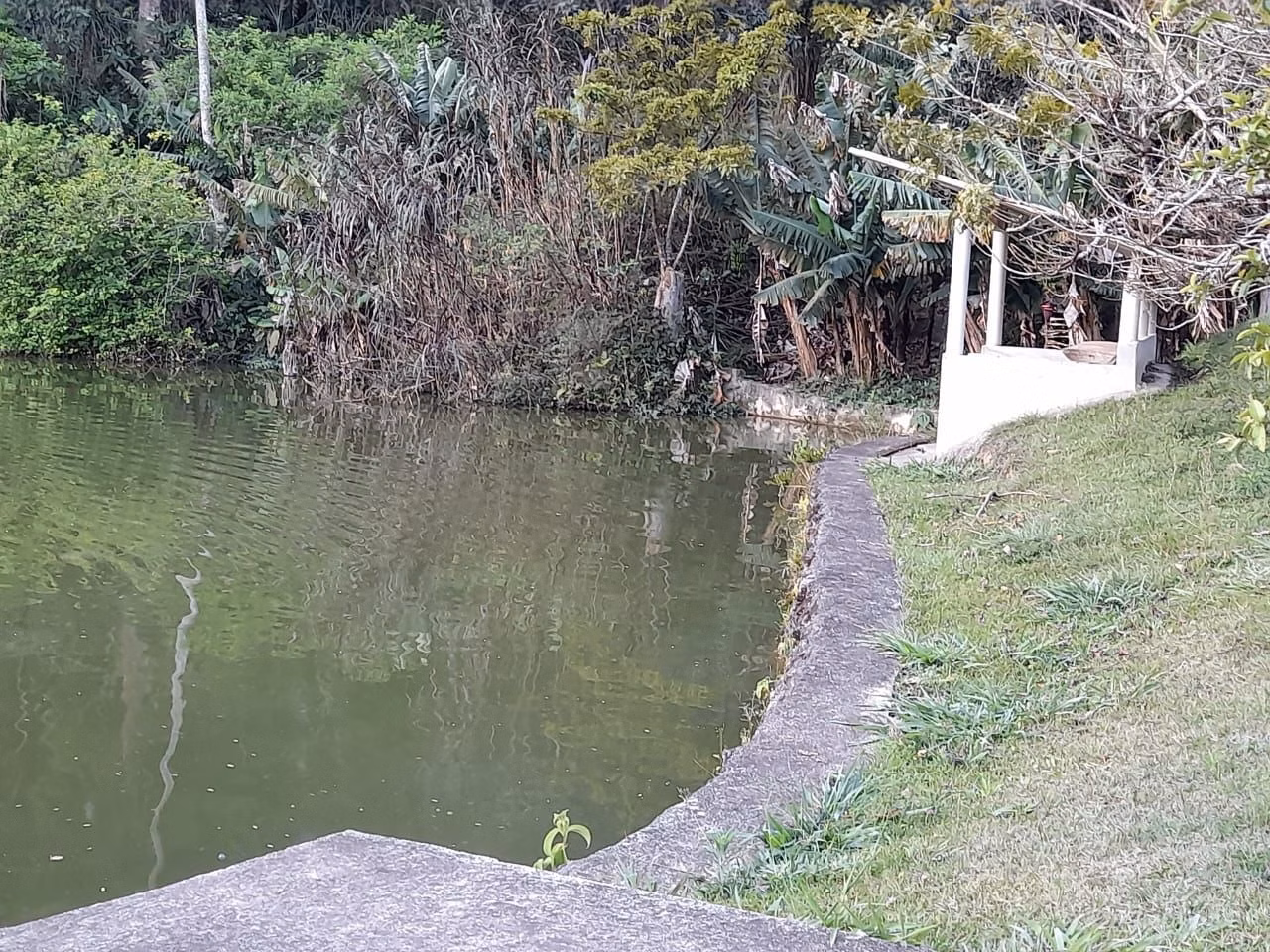Sítio de 5 ha em Nazaré Paulista, SP