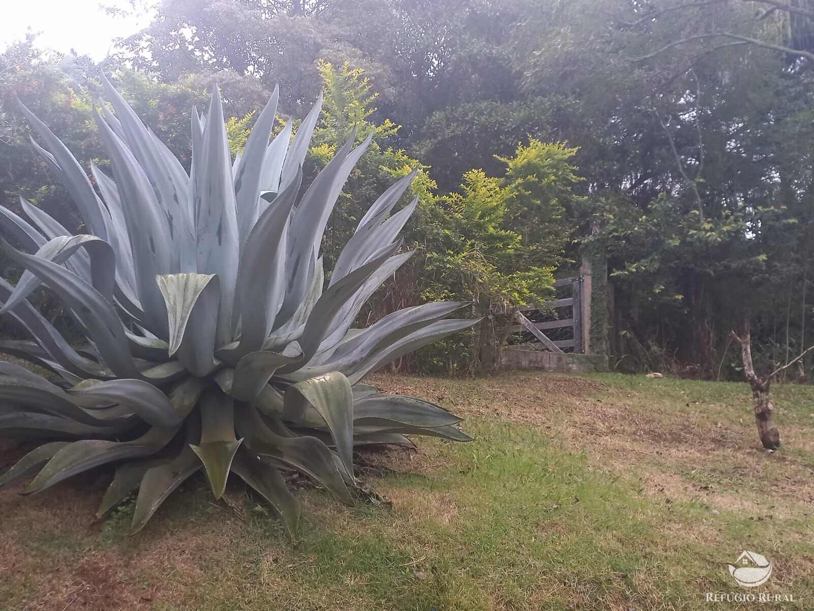 Chácara de 6.120 m² em Joanópolis, SP