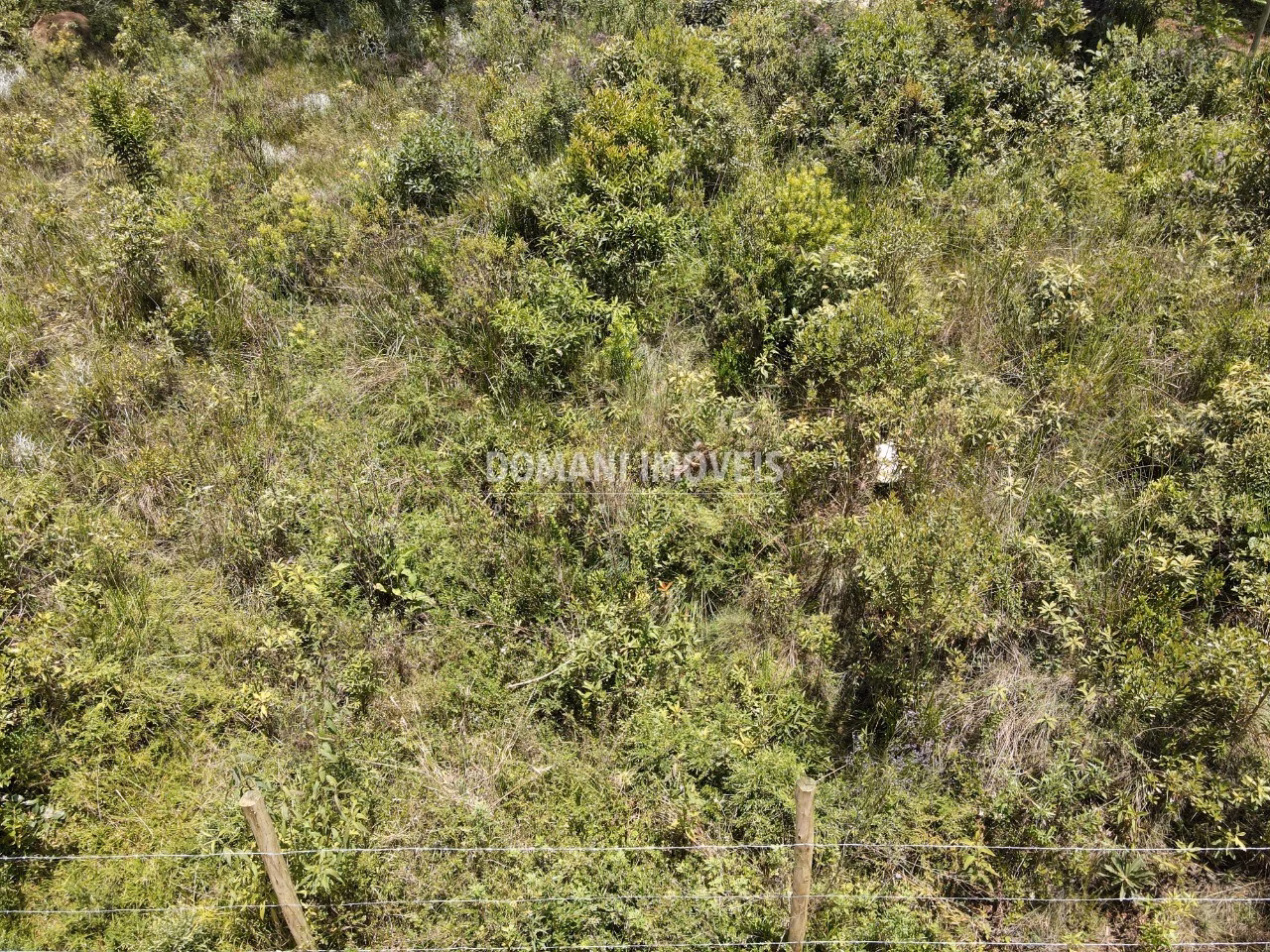 Plot of 1,010 m² in Campos do Jordão, SP, Brazil