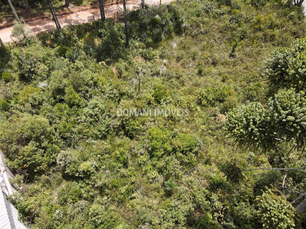 Plot of 1,010 m² in Campos do Jordão, SP, Brazil