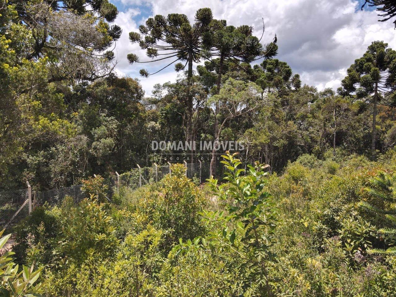 Plot of 1,010 m² in Campos do Jordão, SP, Brazil