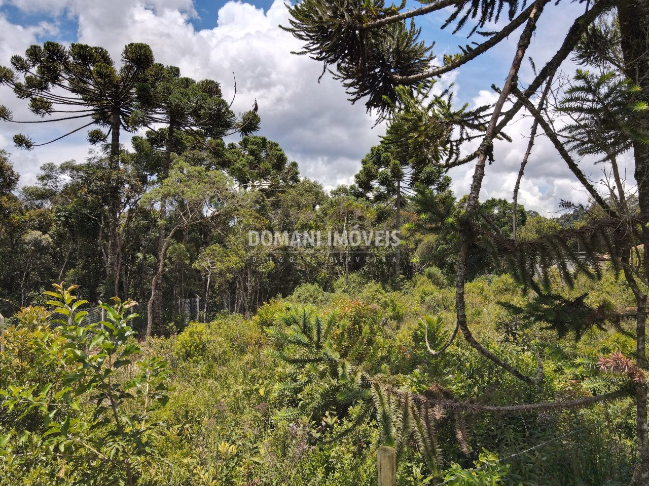 Plot of 1,010 m² in Campos do Jordão, SP, Brazil