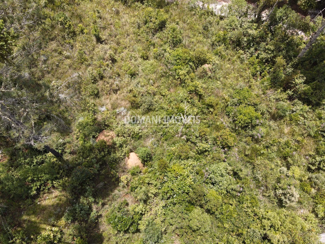 Plot of 1,010 m² in Campos do Jordão, SP, Brazil