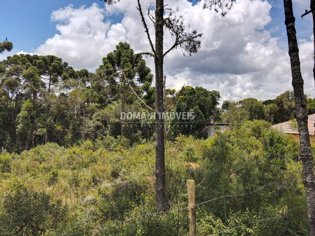 Plot of 1,010 m² in Campos do Jordão, SP, Brazil