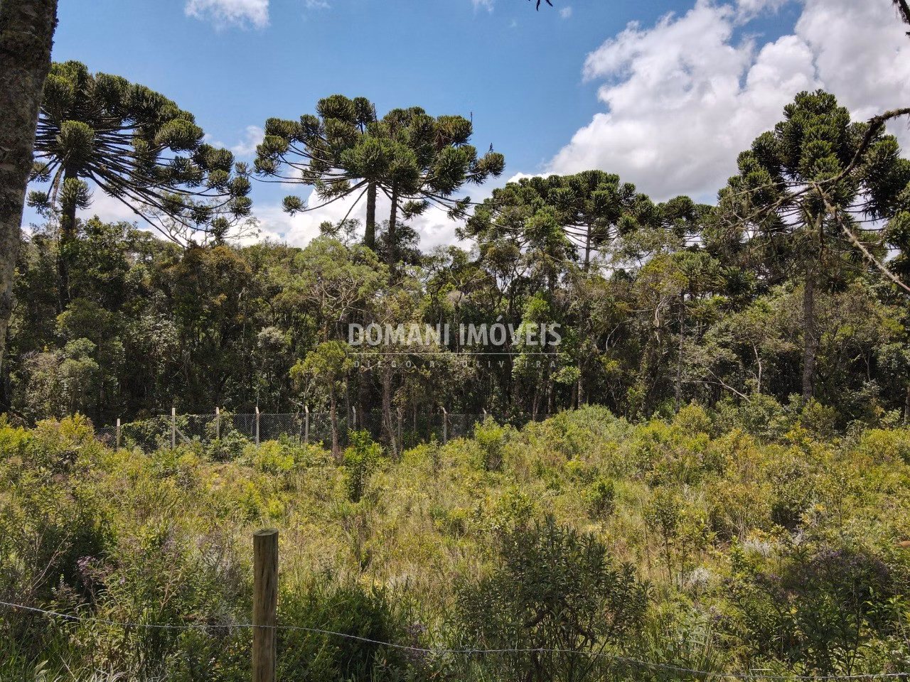 Plot of 1,010 m² in Campos do Jordão, SP, Brazil