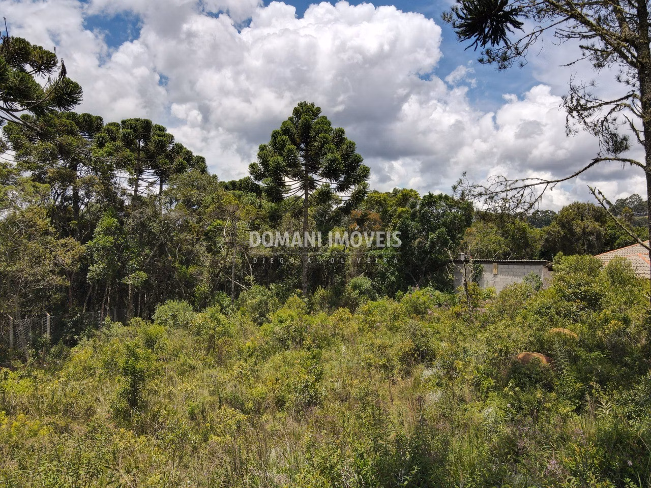 Plot of 1,010 m² in Campos do Jordão, SP, Brazil