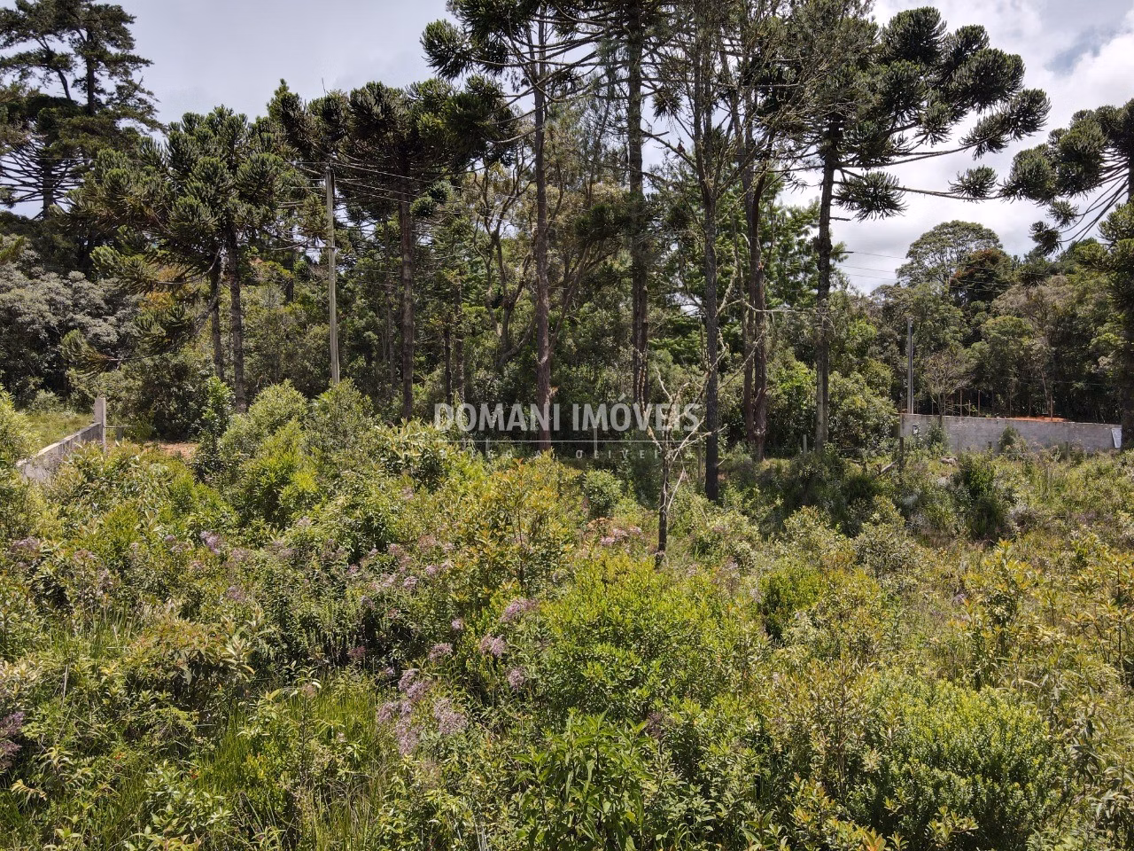 Plot of 1,010 m² in Campos do Jordão, SP, Brazil