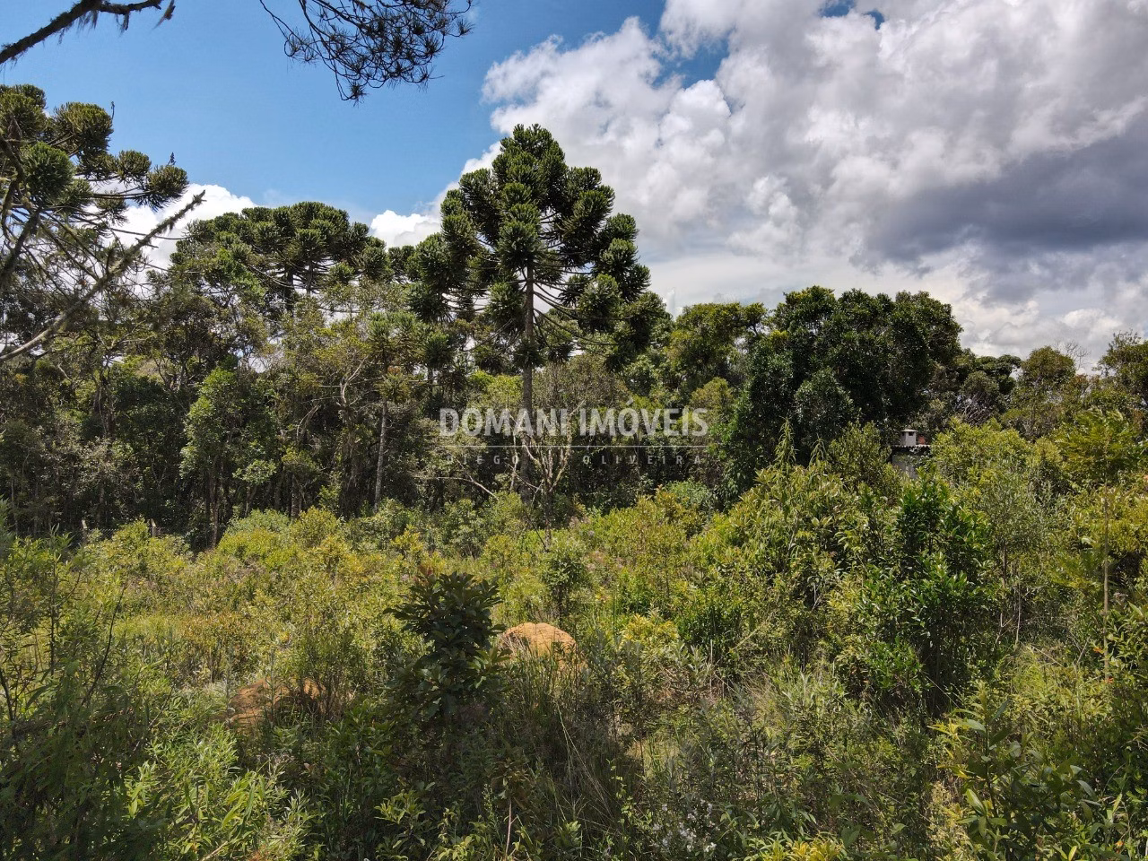 Plot of 1,010 m² in Campos do Jordão, SP, Brazil