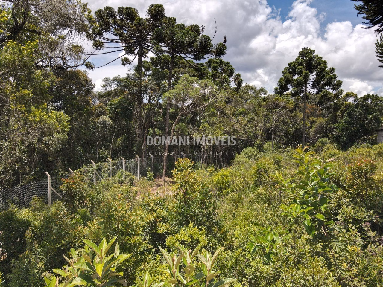 Plot of 1,010 m² in Campos do Jordão, SP, Brazil