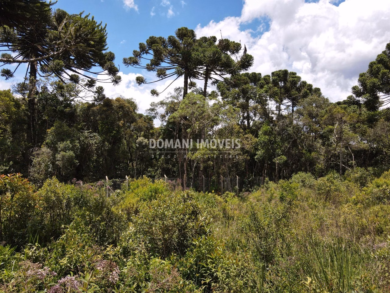 Plot of 1,010 m² in Campos do Jordão, SP, Brazil