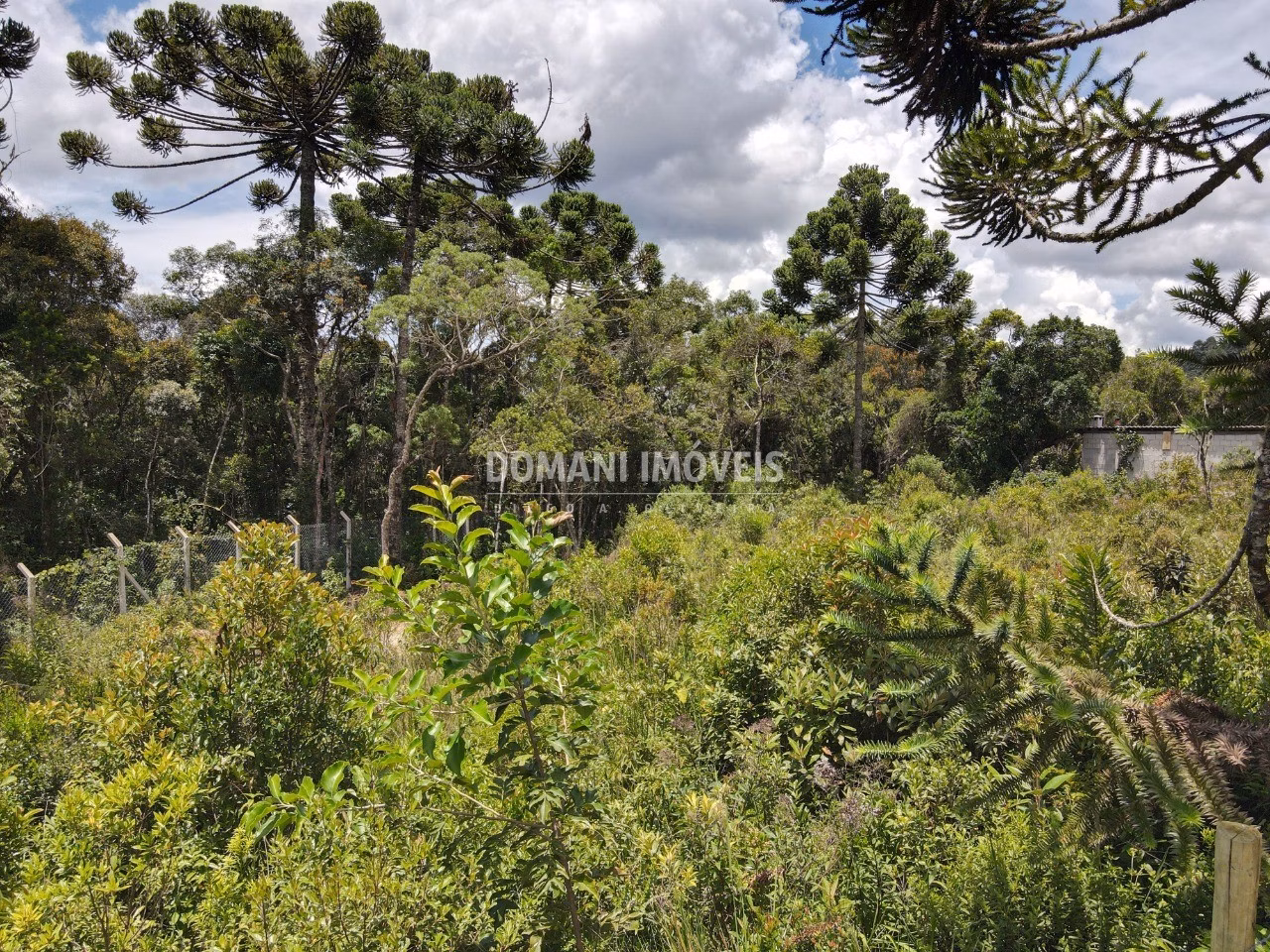 Plot of 1,010 m² in Campos do Jordão, SP, Brazil