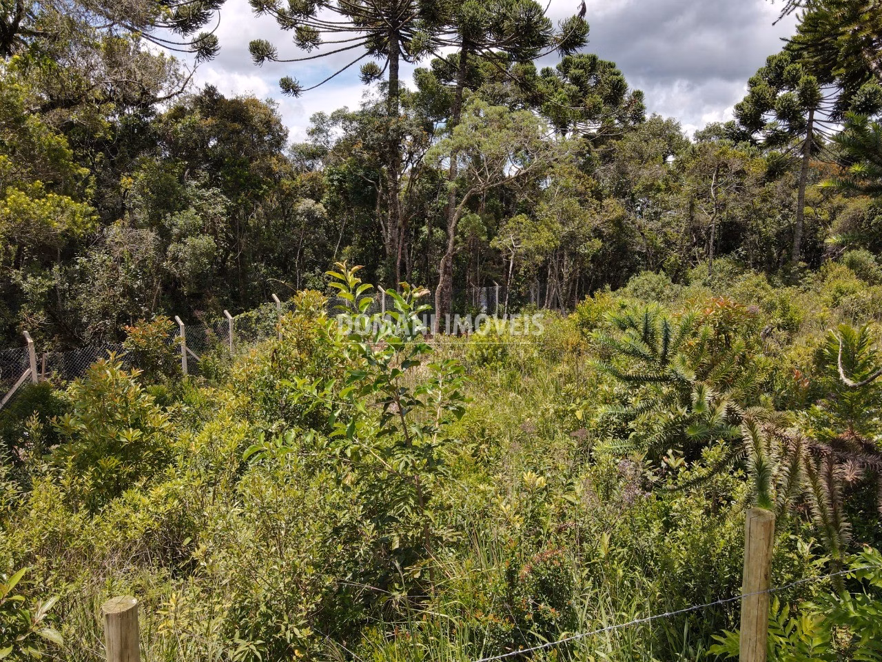 Plot of 1,010 m² in Campos do Jordão, SP, Brazil