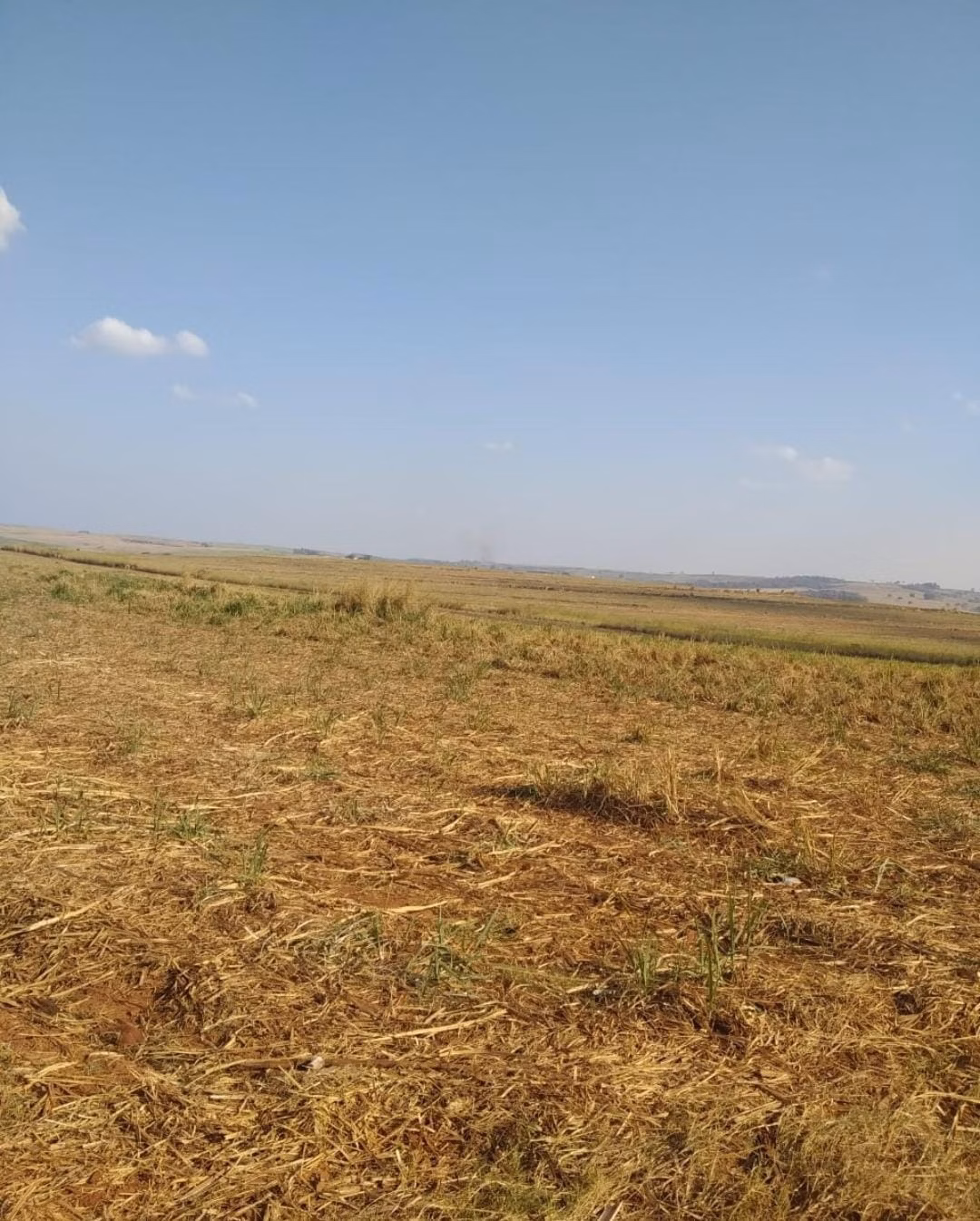 Fazenda de 1.239 ha em Quatá, SP