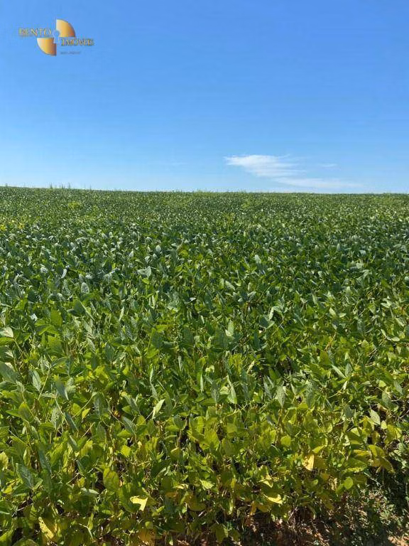 Fazenda de 1.630 ha em Cuiabá, MT
