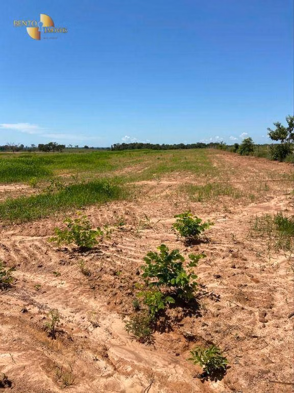 Fazenda de 1.630 ha em Cuiabá, MT