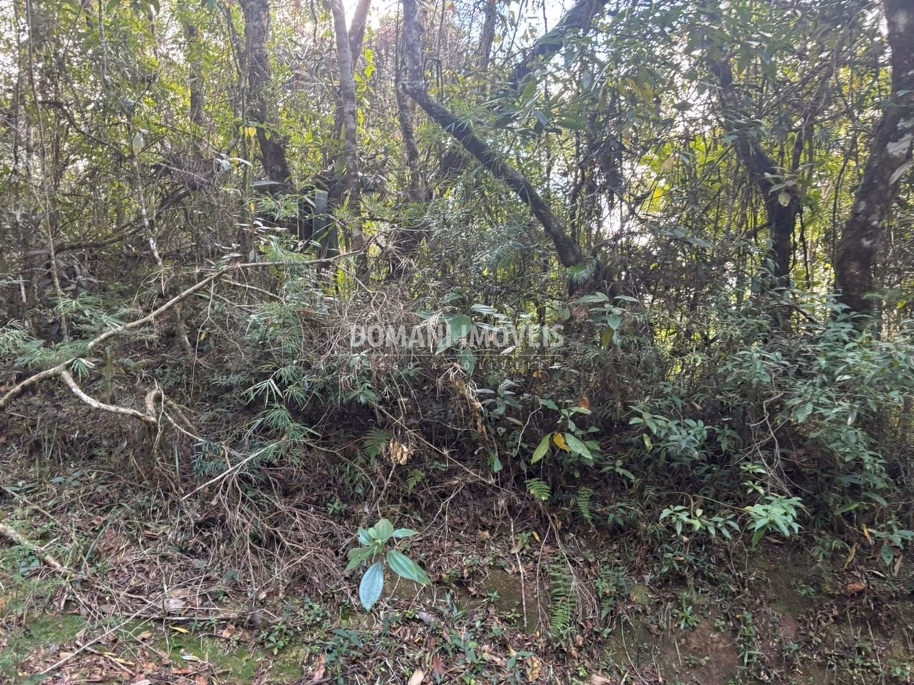 Plot of 2,570 m² in Campos do Jordão, SP, Brazil