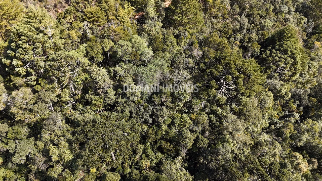 Plot of 2,570 m² in Campos do Jordão, SP, Brazil
