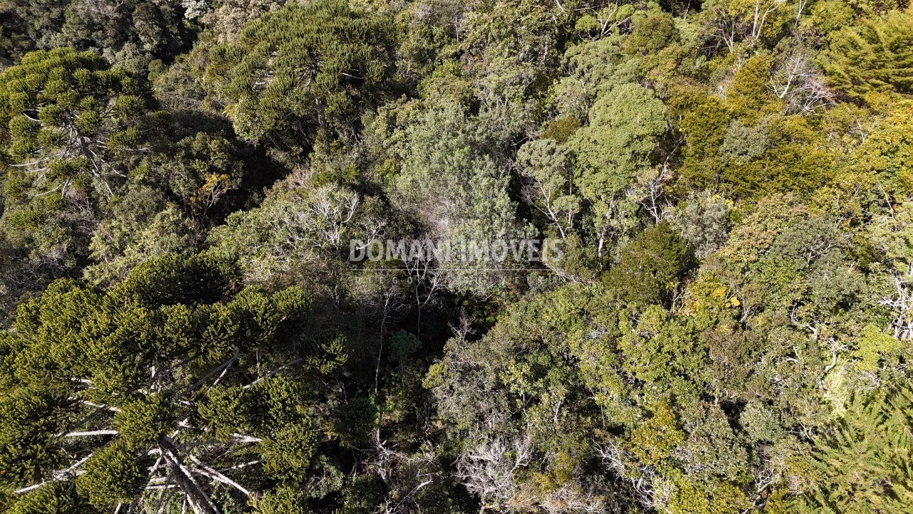 Plot of 2,570 m² in Campos do Jordão, SP, Brazil