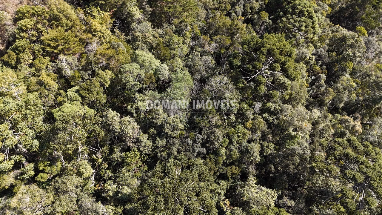 Plot of 2,570 m² in Campos do Jordão, SP, Brazil