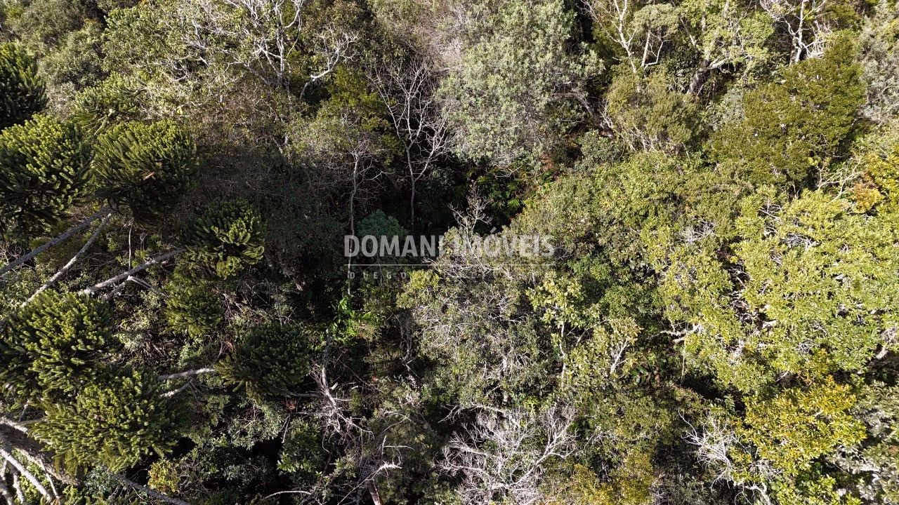 Plot of 2,570 m² in Campos do Jordão, SP, Brazil