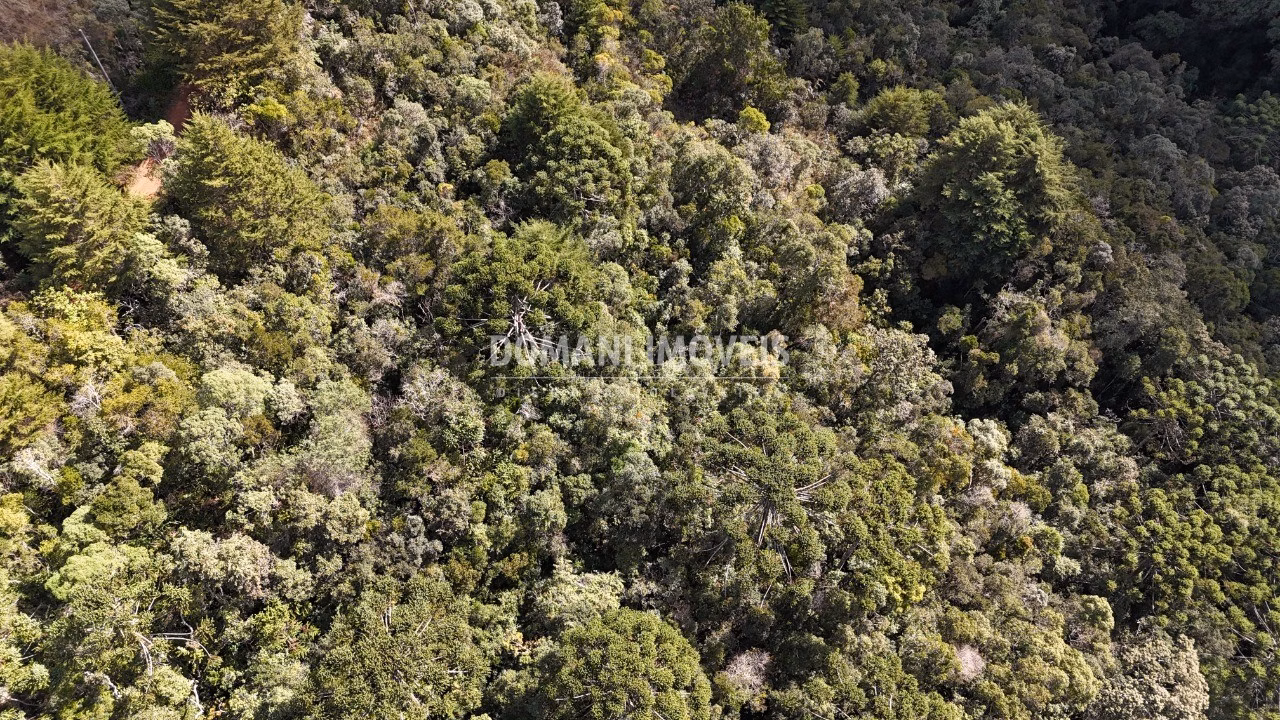 Plot of 2,570 m² in Campos do Jordão, SP, Brazil