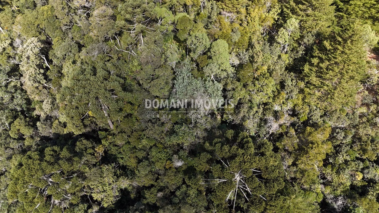 Plot of 2,570 m² in Campos do Jordão, SP, Brazil