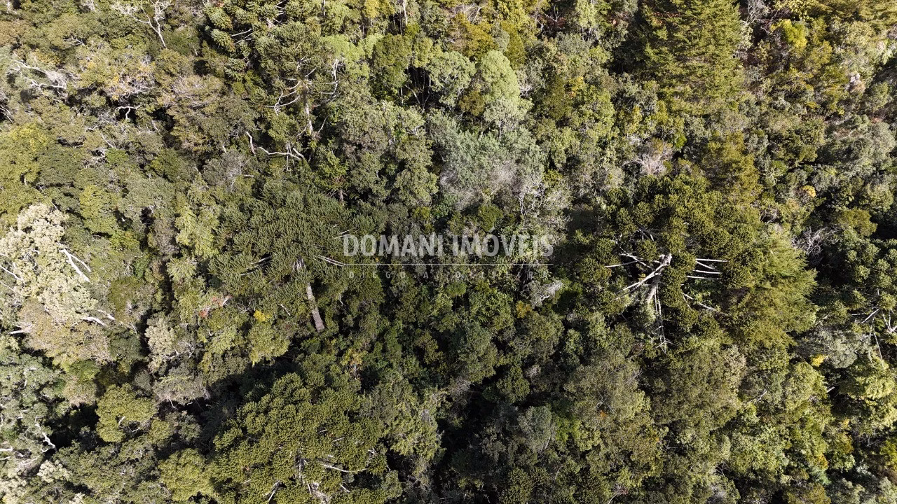 Plot of 2,570 m² in Campos do Jordão, SP, Brazil