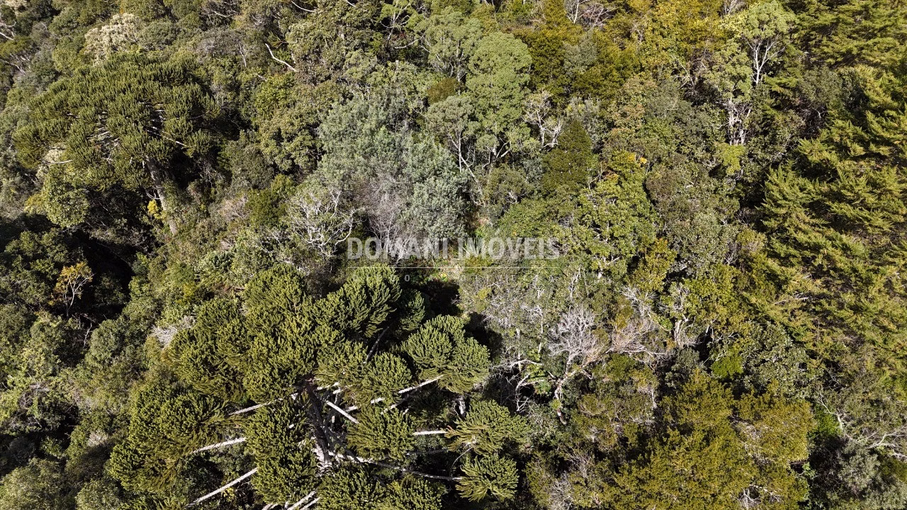Terreno de 2,570 m² em Campos do Jordão, SP