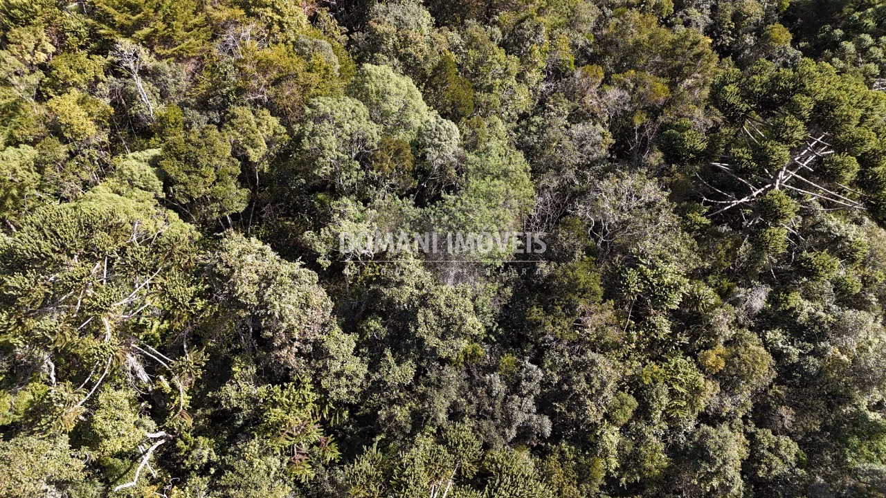 Plot of 2,570 m² in Campos do Jordão, SP, Brazil