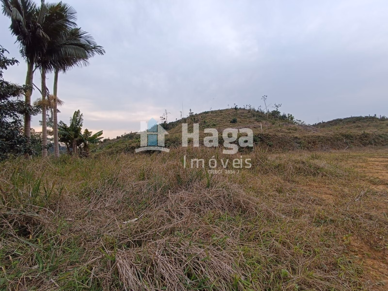 Terreno de 10 ha em Botuverá, SC