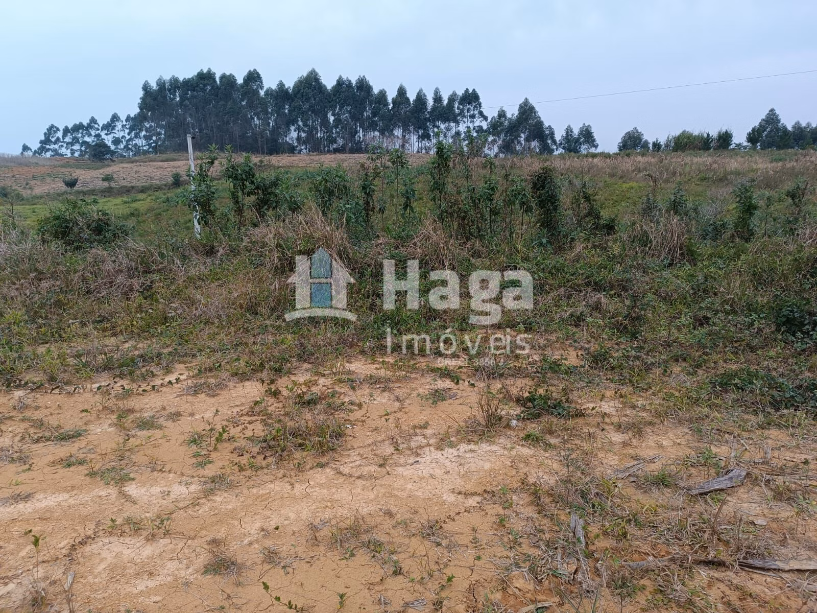 Terreno de 10 ha em Botuverá, SC