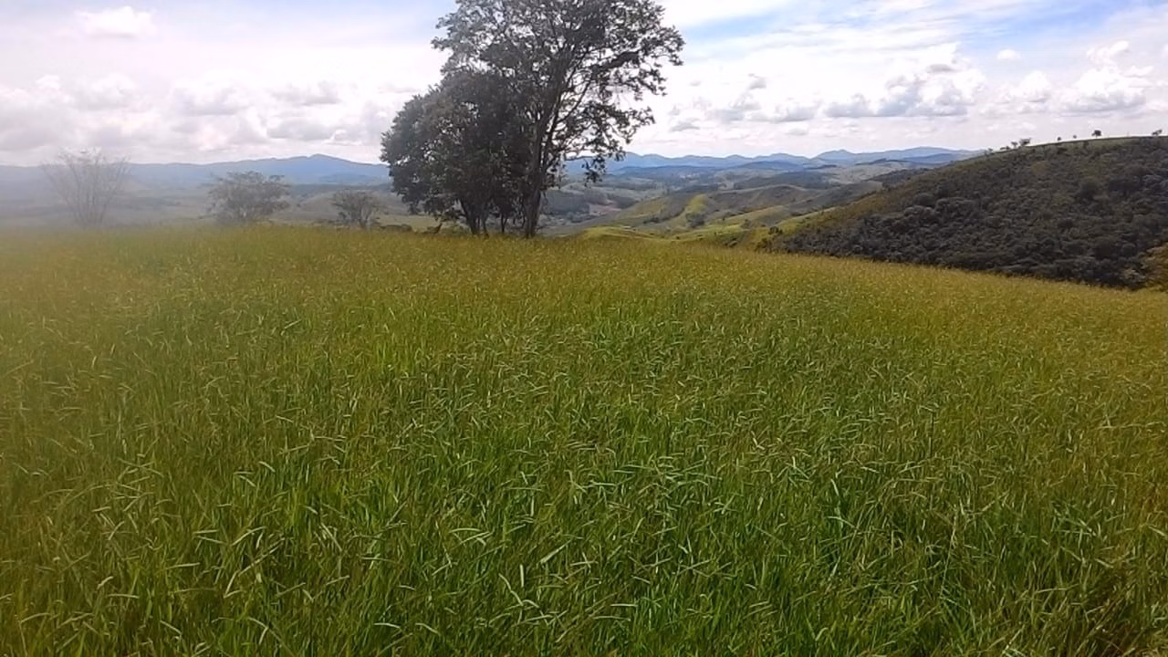 Sítio de 73 ha em Lagoinha, SP