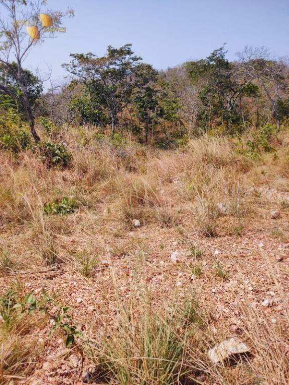 Fazenda de 600 ha em Jangada, MT