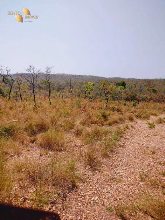 Fazenda de 600 ha em Jangada, MT