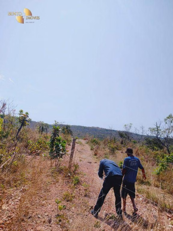 Fazenda de 600 ha em Jangada, MT