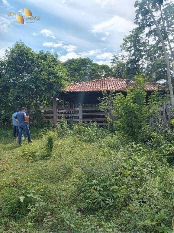 Fazenda de 503 ha em Santo Antônio de Leverger, MT