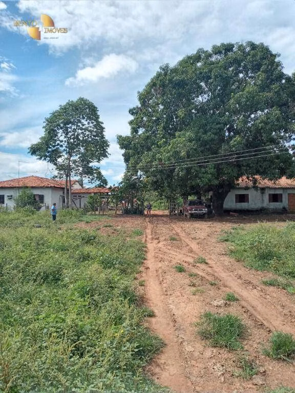 Fazenda de 503 ha em Santo Antônio de Leverger, MT