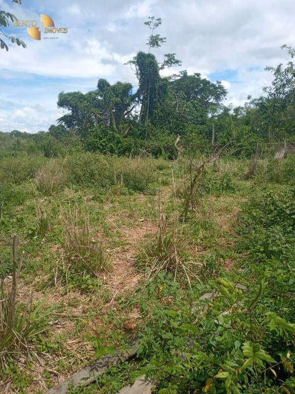 Farm of 1.243 acres in Santo Antônio de Leverger, MT, Brazil