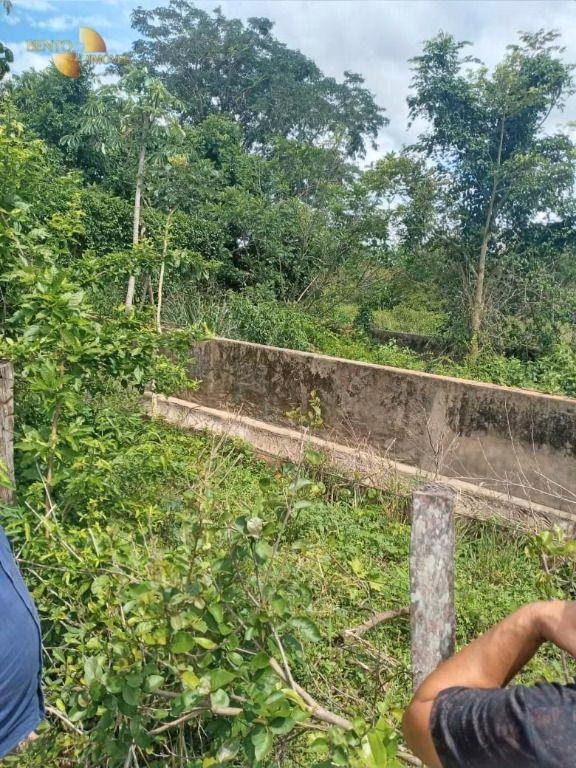 Farm of 1.243 acres in Santo Antônio de Leverger, MT, Brazil