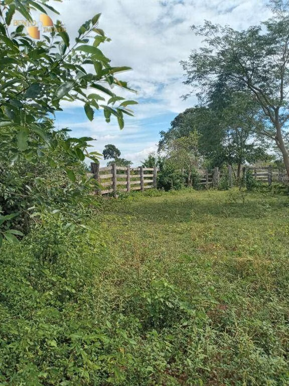 Farm of 1.243 acres in Santo Antônio de Leverger, MT, Brazil