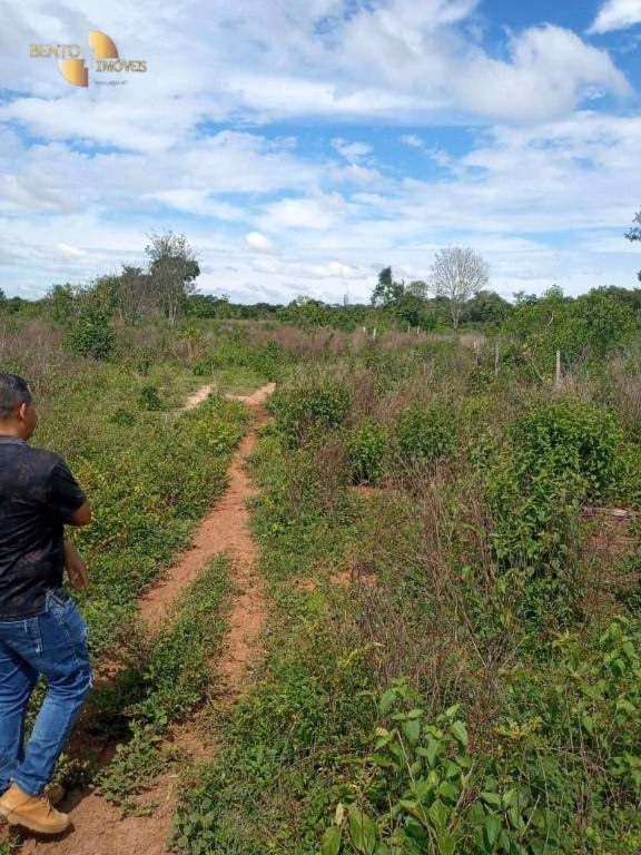Fazenda de 503 ha em Santo Antônio de Leverger, MT